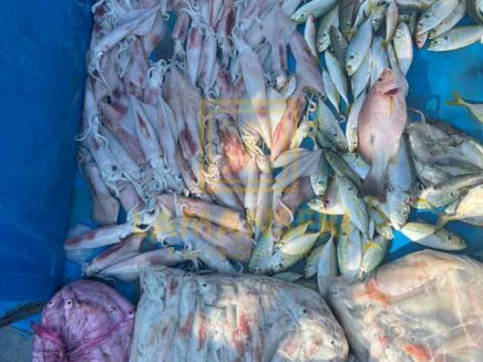 mencandat-memancing (13)